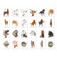 Mini-Tattoo-Set Pferde 24-teilig